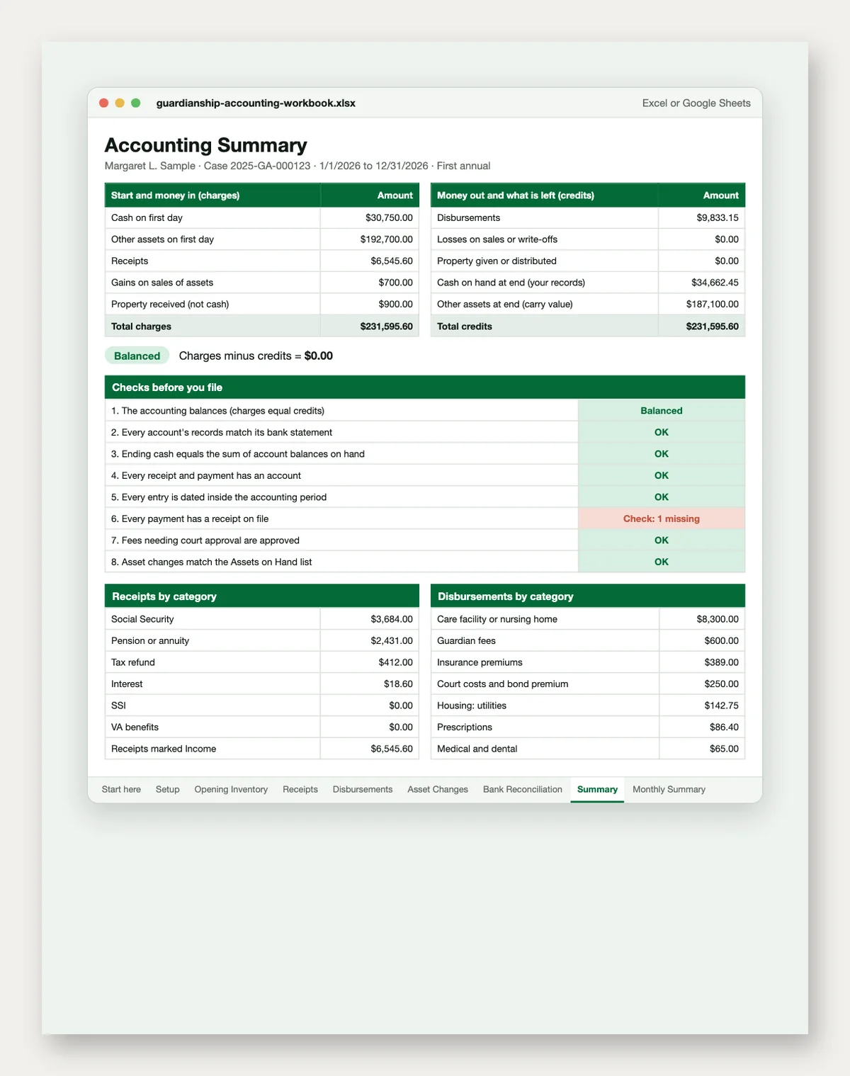 Guardianship and Conservatorship Annual Accounting Workbook: preview 2