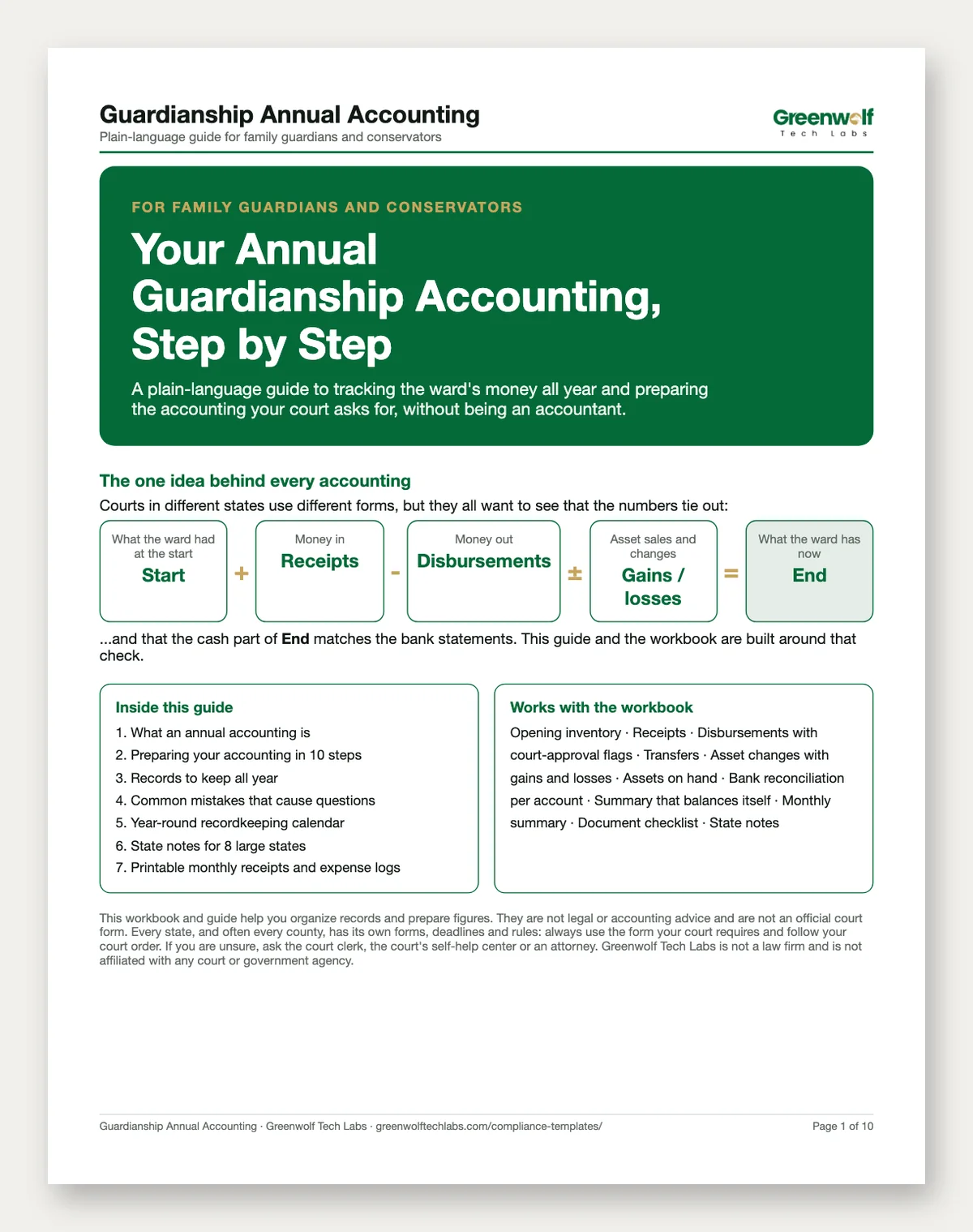 Guardianship and Conservatorship Annual Accounting Workbook: printable page and spreadsheet preview