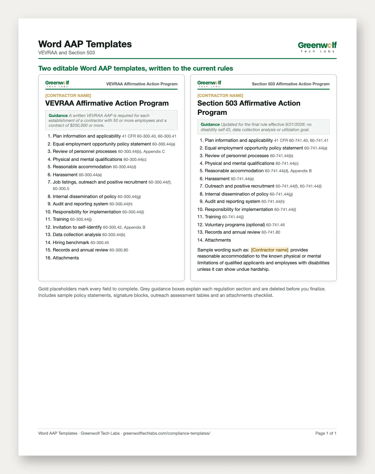 VEVRAA and Section 503 Affirmative Action Plan Kit: preview 3